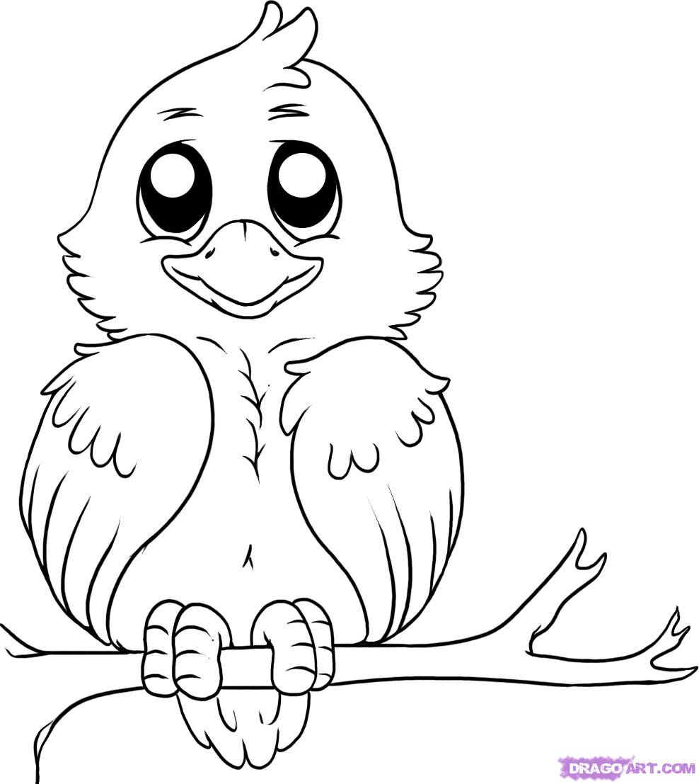 Cartoon Bird Drawing at GetDrawings | Free download