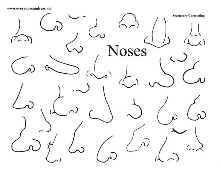 Cartoon Nose Drawing