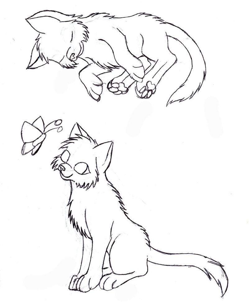 cat drawing poses