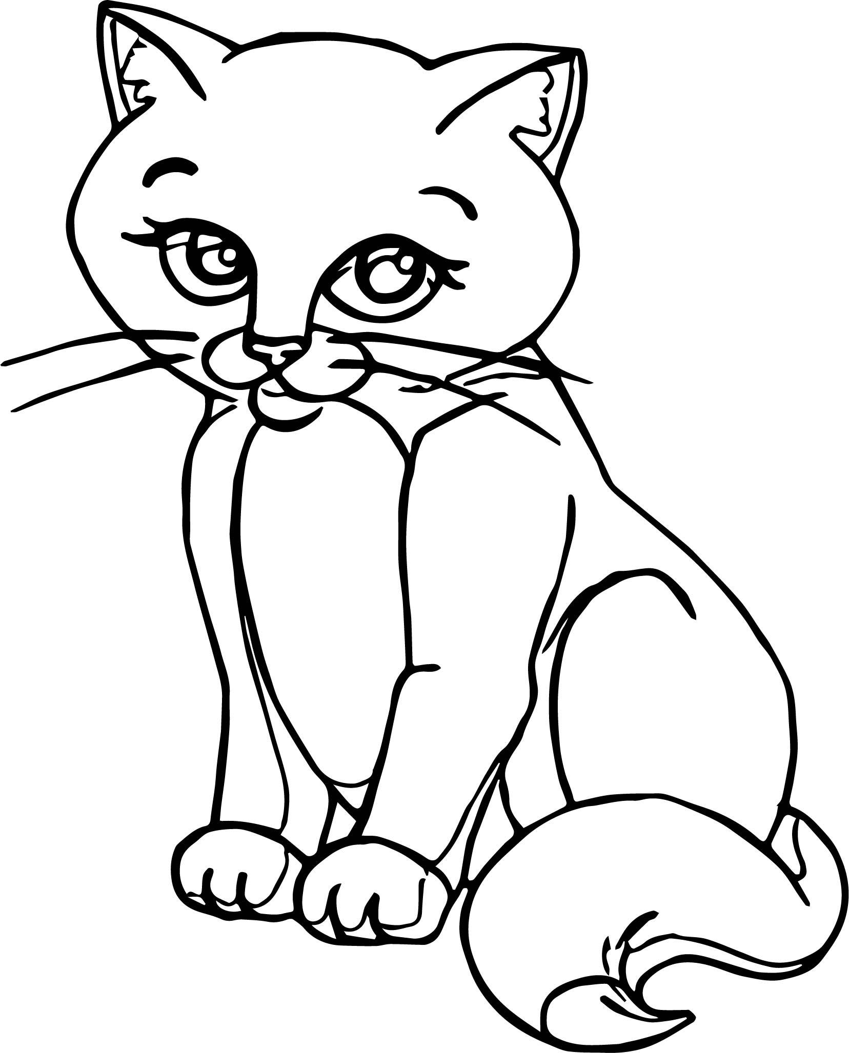 Printable Realistic Cat Coloring Pages