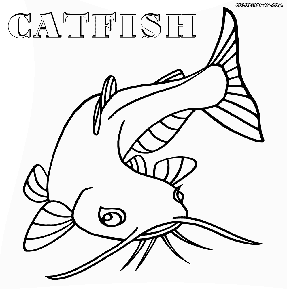 Cat Fish Drawing at GetDrawings | Free download