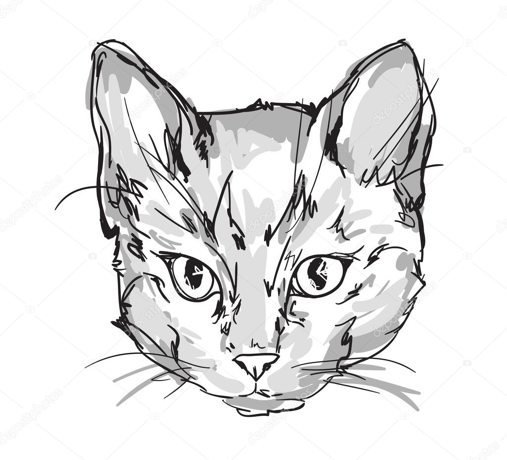 Draw Cat Head | Minimalis