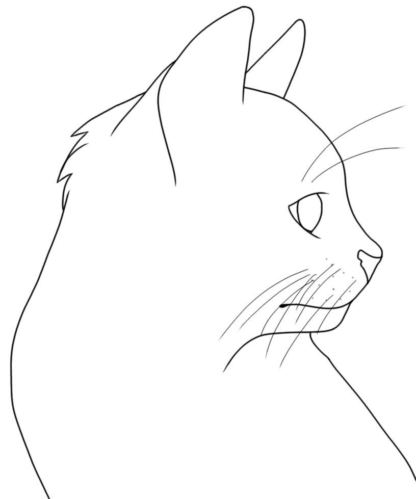 Cat Head Drawing At Getdrawings 