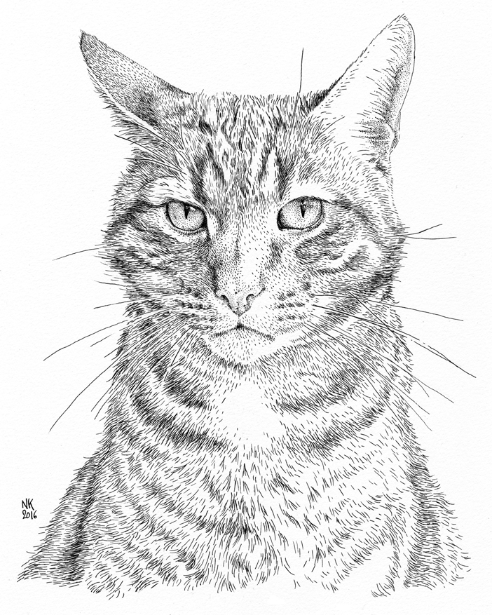 Cat Ink Drawing at GetDrawings Free download