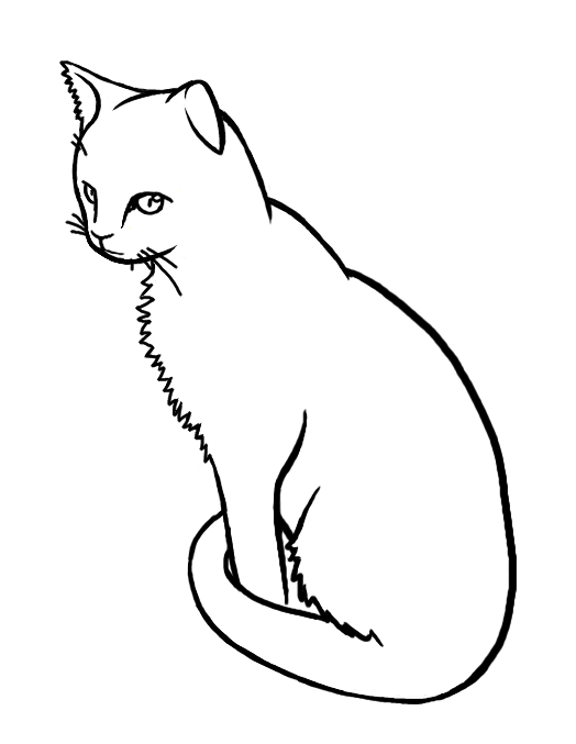 Cat Line Drawing at GetDrawings Free download