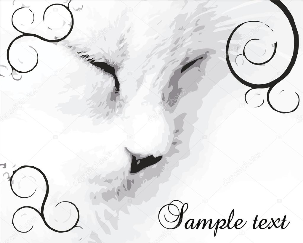 Cat Nose Drawing at GetDrawings | Free download