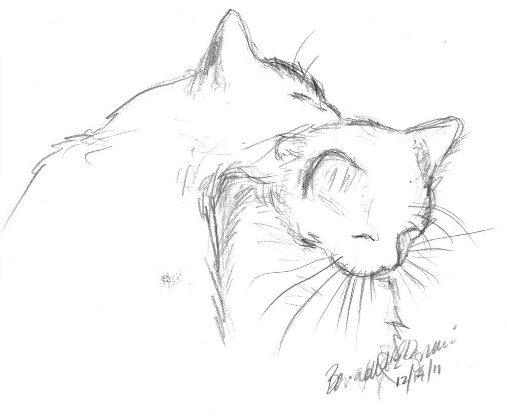 Cat Nose Drawing at GetDrawings | Free download