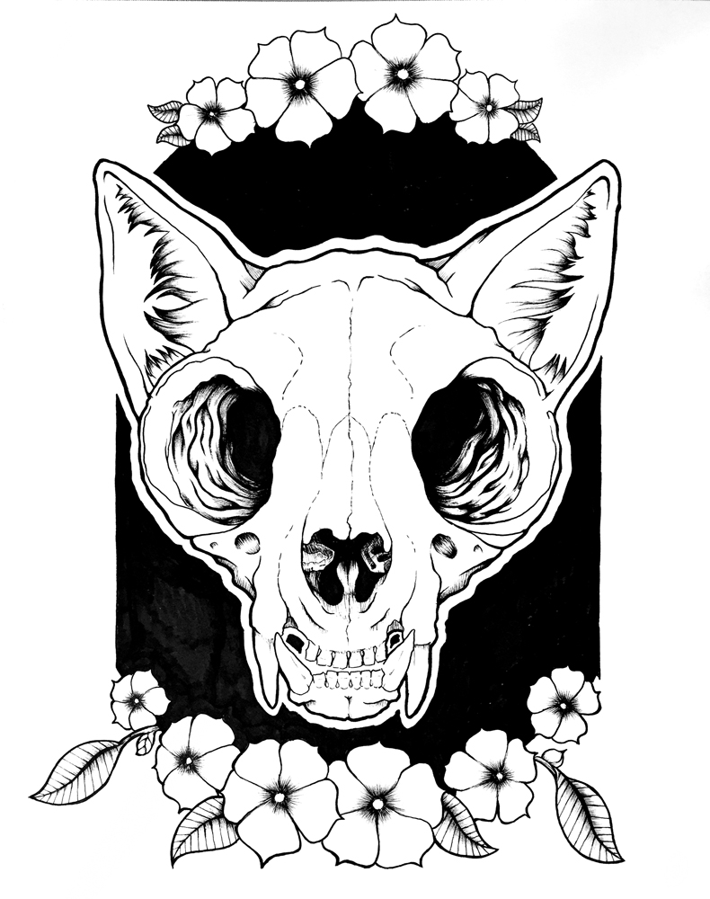 Cat Skull Drawing at GetDrawings Free download