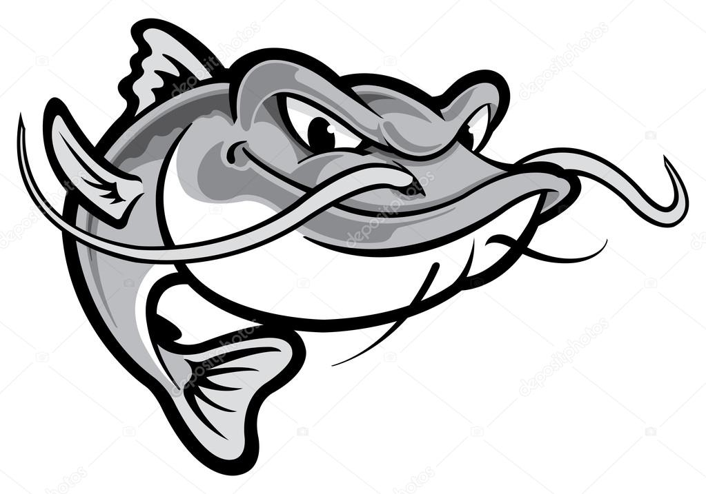 Flathead Catfish Drawing at GetDrawings Free download