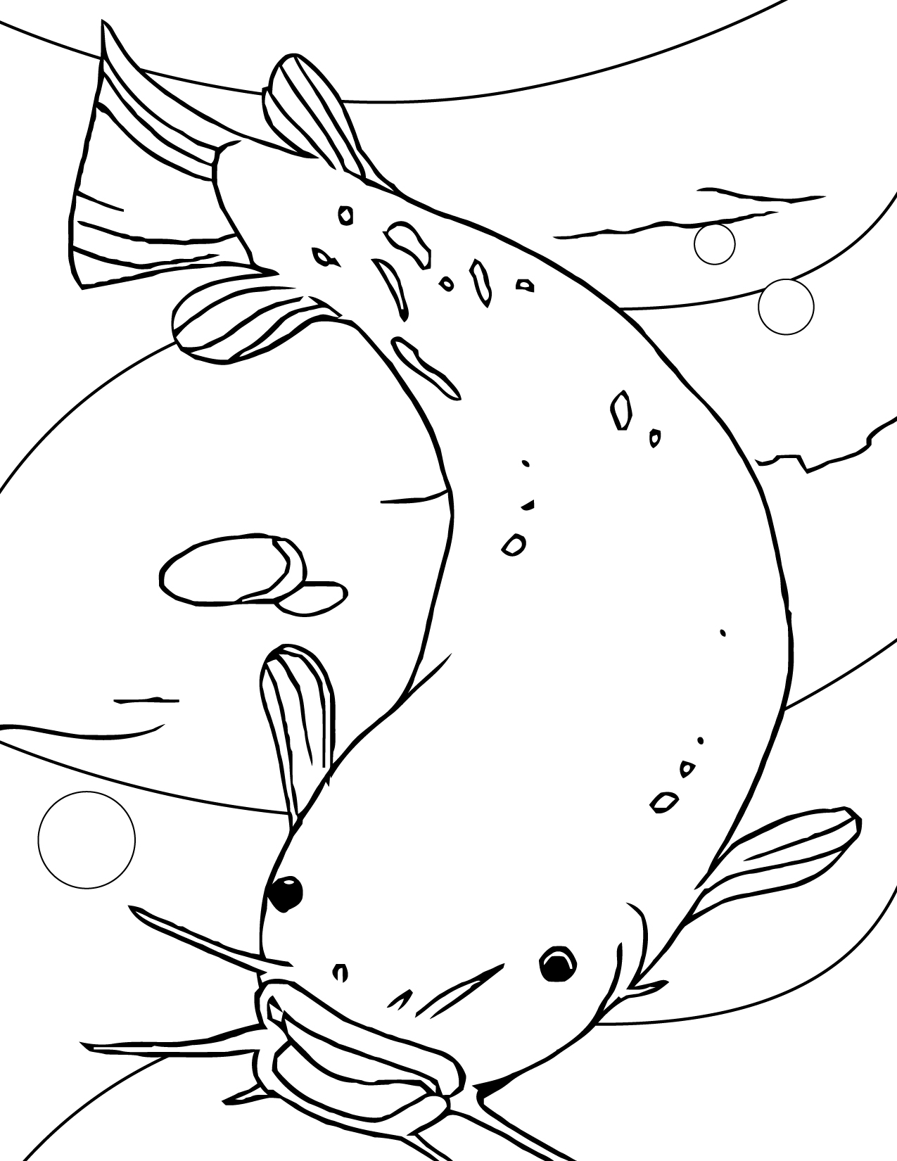 Catfish Drawing Images at GetDrawings | Free download