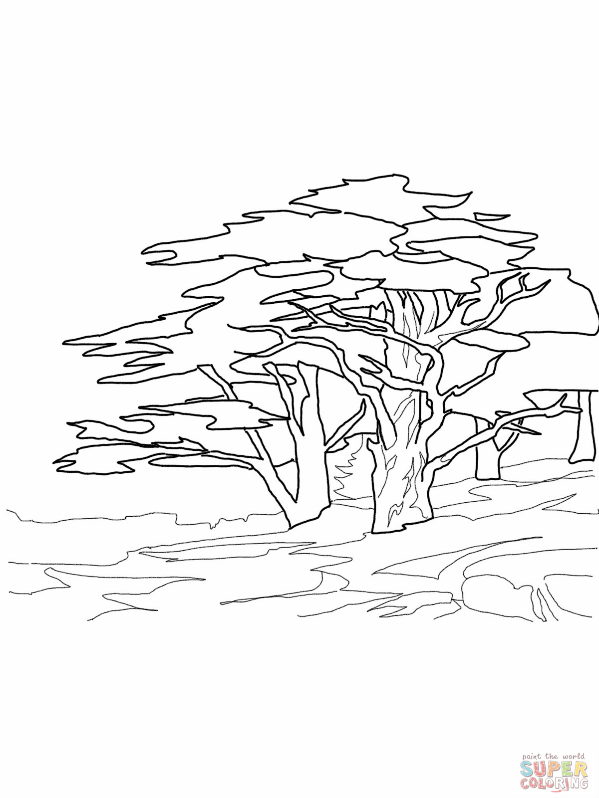 Cedar Tree Drawing at GetDrawings | Free download