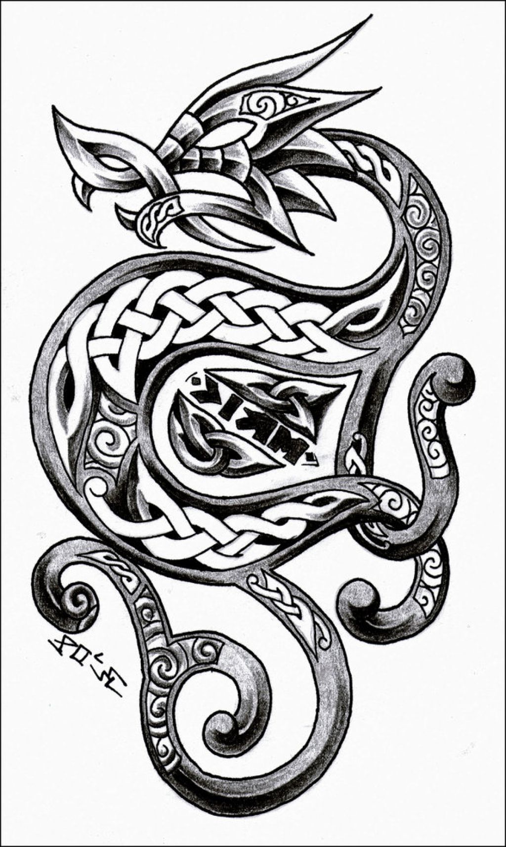 Celtic Dragon Drawing At Getdrawings Free Download