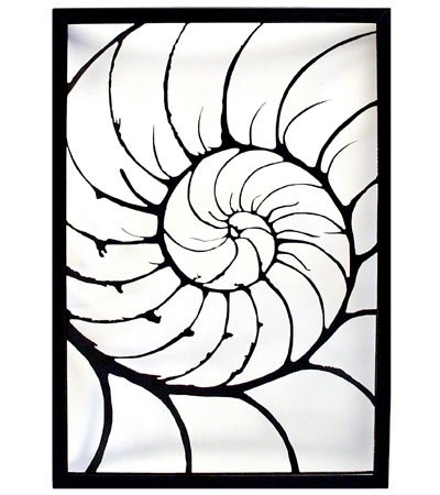 Nautilus Shell Drawing at GetDrawings | Free download