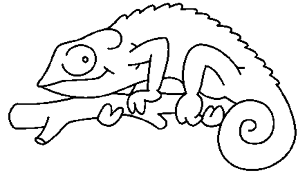 Chameleon Outline Drawing at GetDrawings Free download