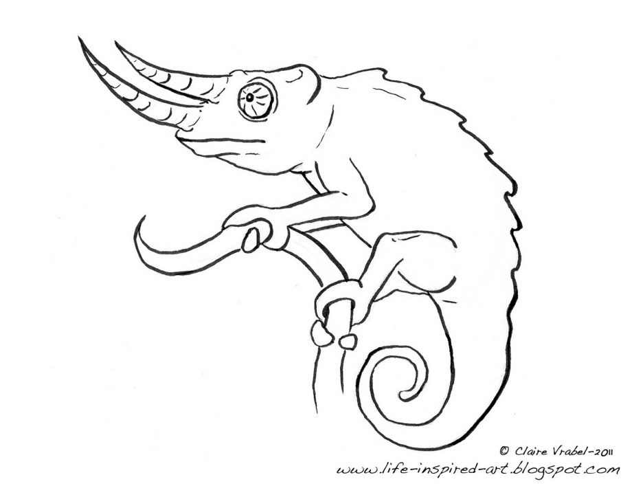 Chameleon Outline Drawing at GetDrawings | Free download