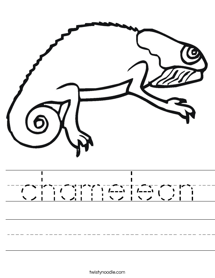 Chameleon Outline Drawing at GetDrawings | Free download