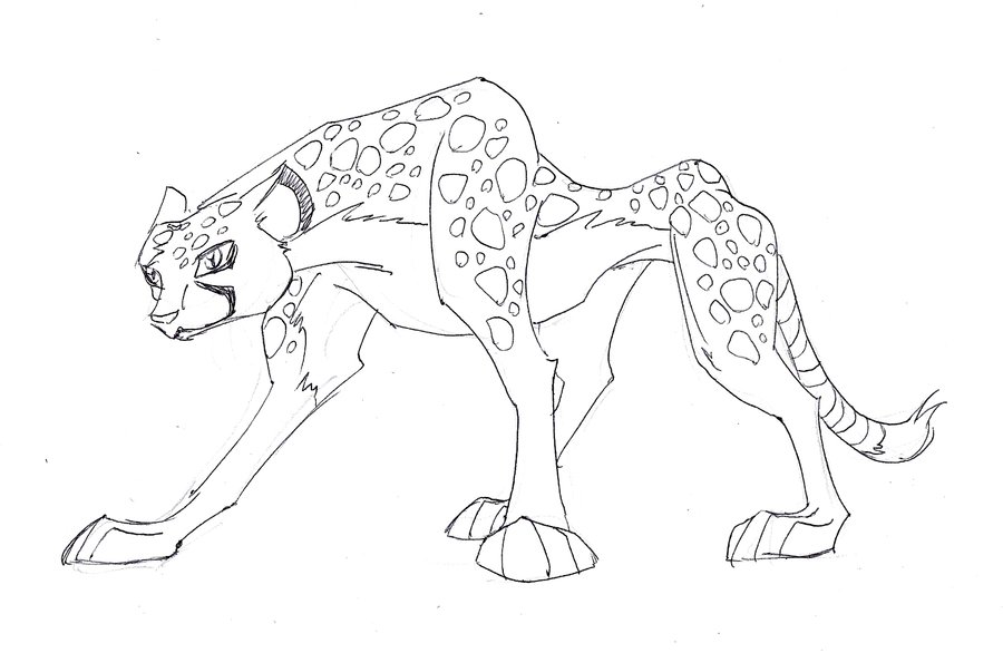 Cheetah Cartoon Drawing at GetDrawings | Free download