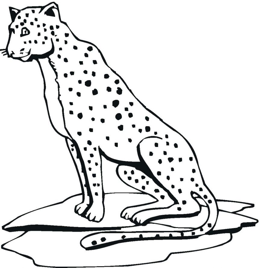 Cheetah Outline Drawing At GetDrawings Free Download