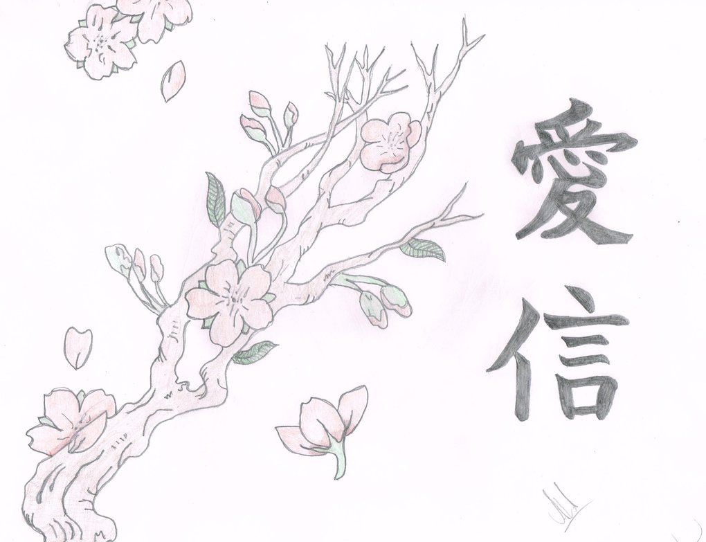 Cherry Blossom Branch Drawing at GetDrawings | Free download