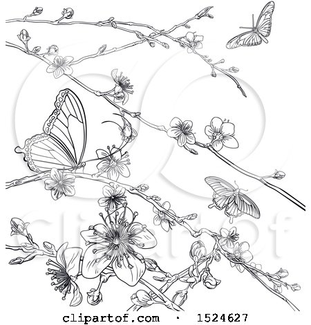 Cherry Blossom Line Drawing at GetDrawings | Free download