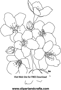 Cherry Blossom Line Drawing at GetDrawings | Free download