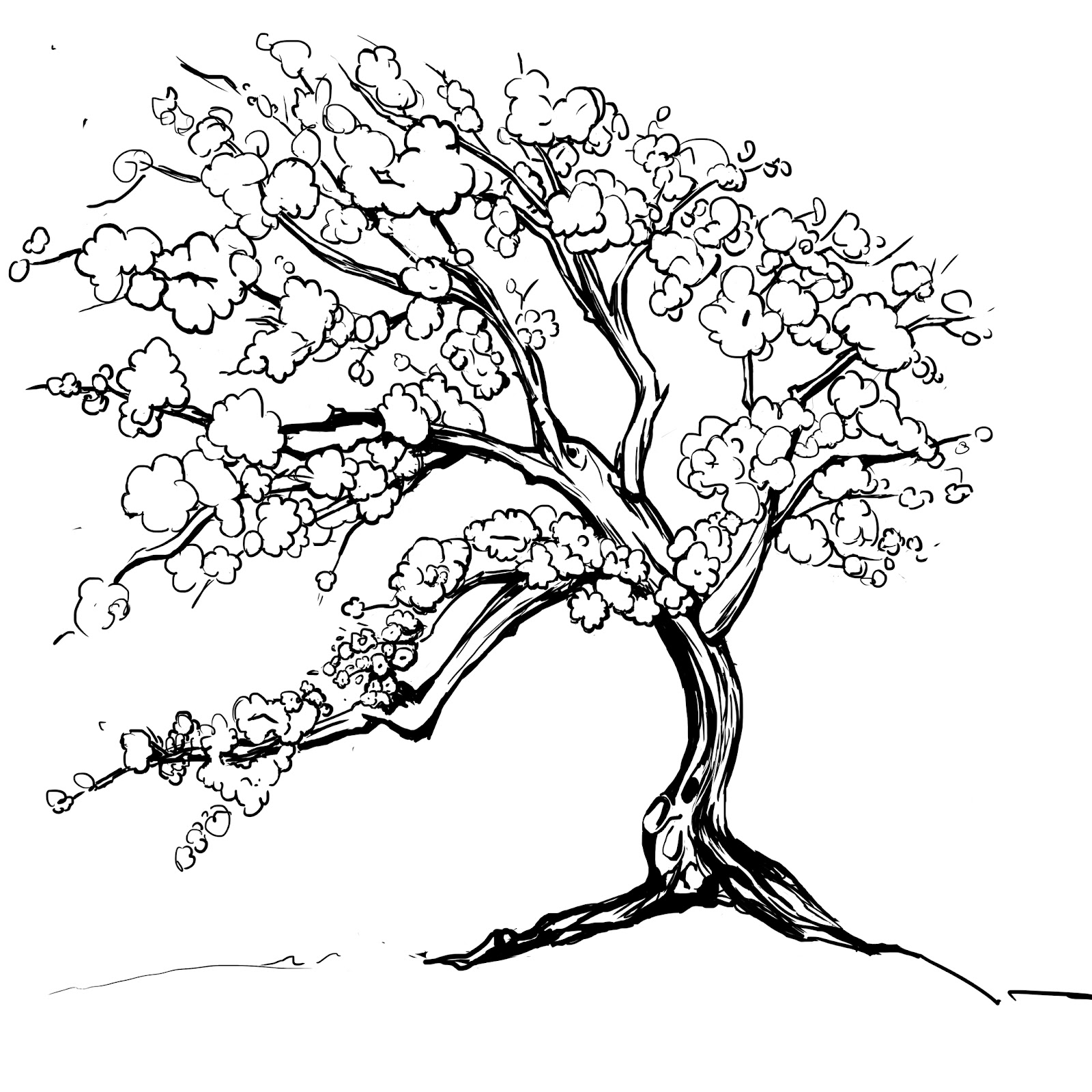 Cherry Blossom Tree Branch Drawing At GetDrawings Free Download
