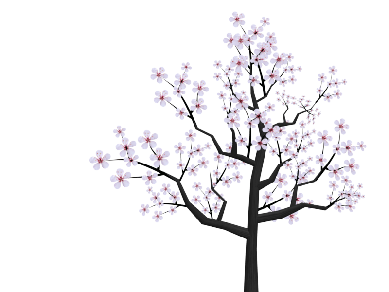 Cherry Blossom Tree Drawing Easy at GetDrawings | Free download