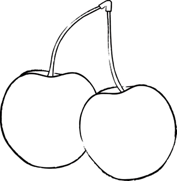 Cherry Drawing at GetDrawings | Free download