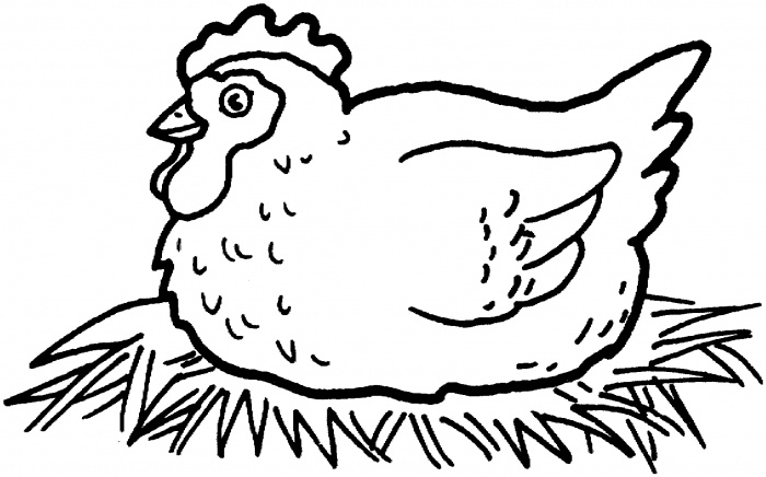 Chicken Egg Drawing at GetDrawings | Free download