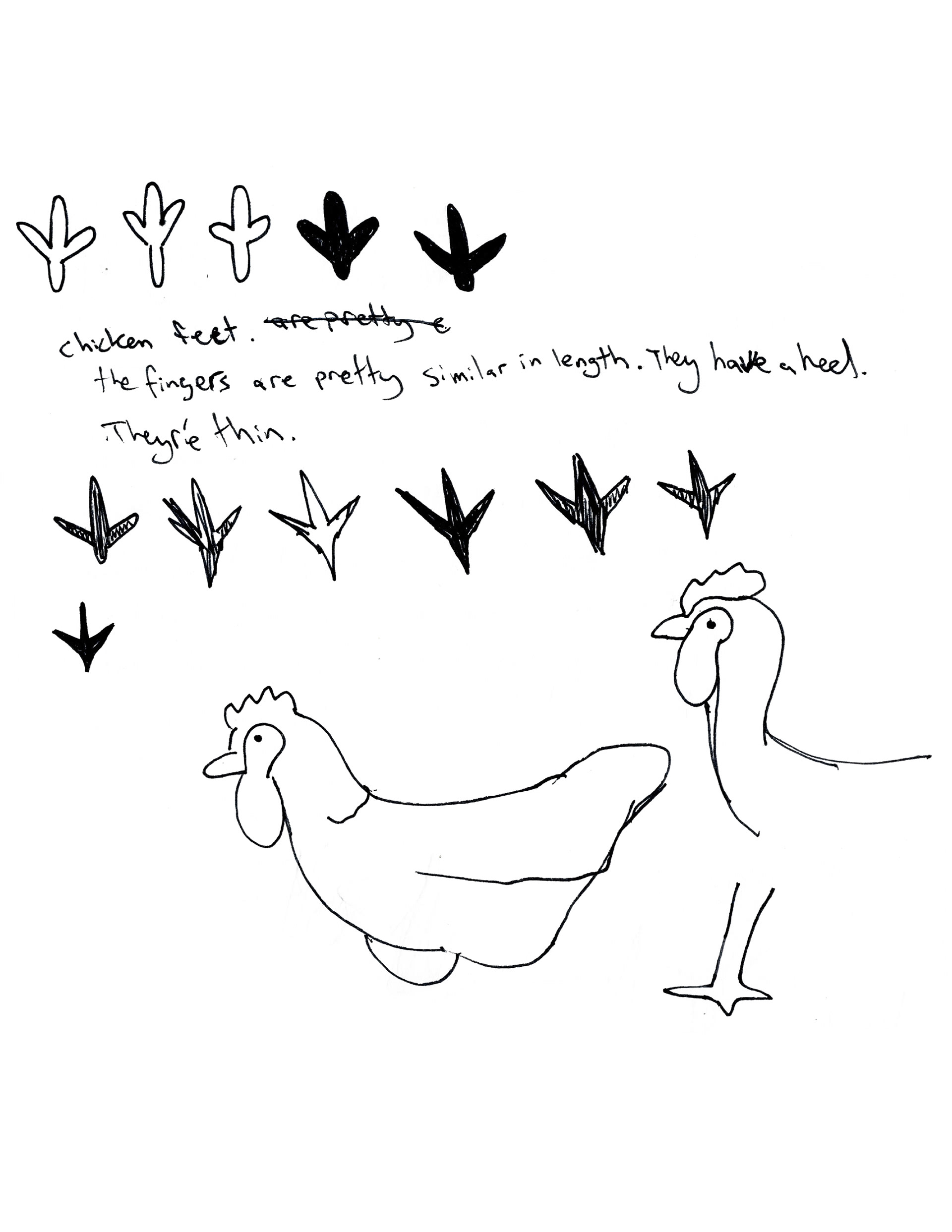 Chicken Feet Drawing at GetDrawings Free download