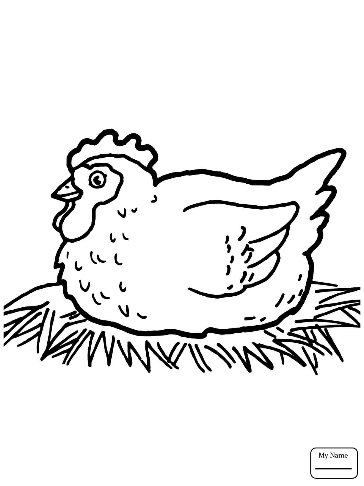 chicken-outline-drawing-at-getdrawings-free-download