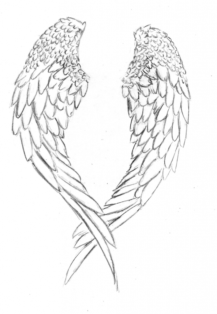 Chicken Wings Drawing at GetDrawings | Free download