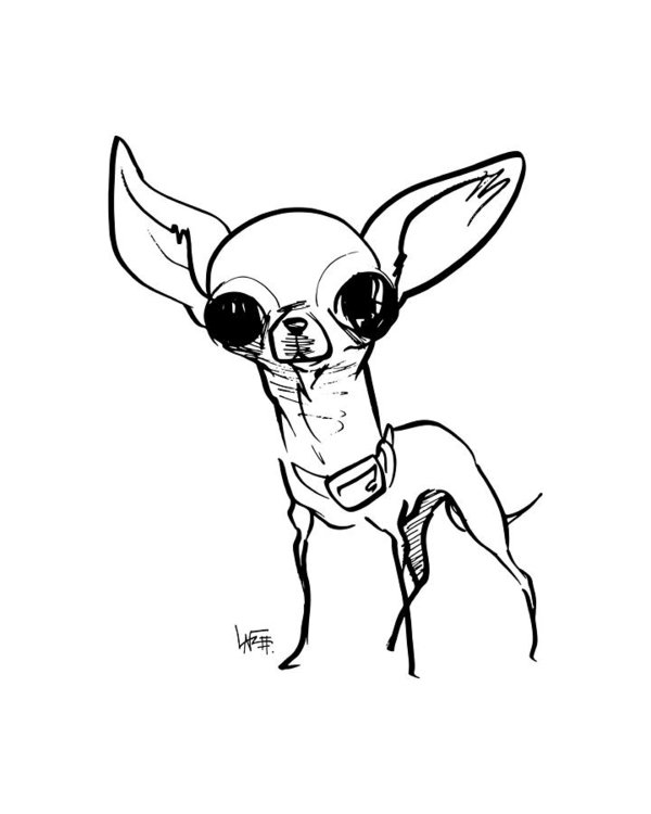 Chihuahua Dog Drawing at GetDrawings | Free download