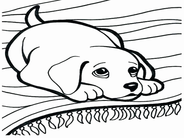 Chihuahua Dog Drawing at GetDrawings | Free download