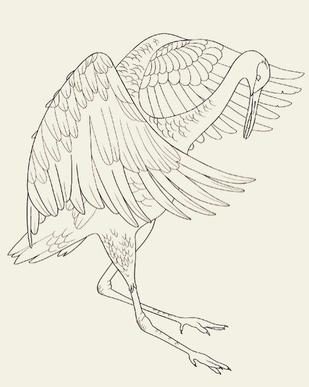 Chinese Crane Drawing at GetDrawings | Free download