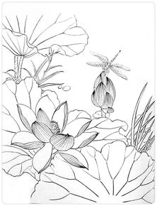 Chinese Flower Drawing at GetDrawings | Free download