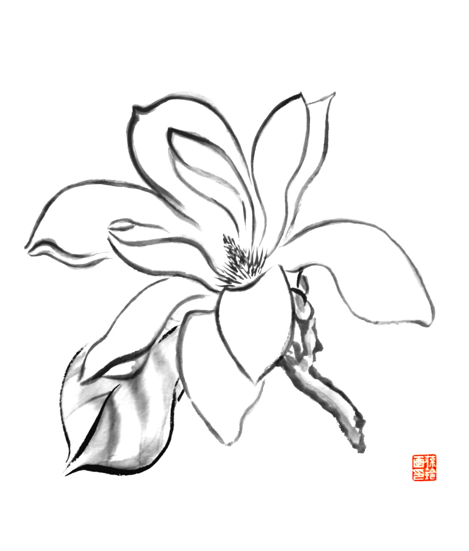 Chinese Flower Drawing at GetDrawings | Free download