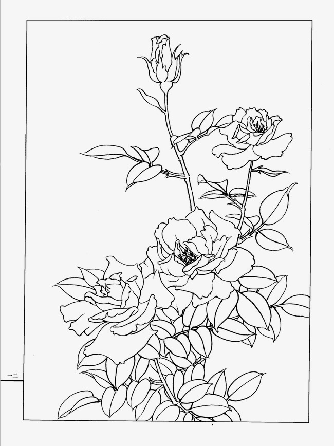 Chinese Flowers Drawing at GetDrawings Free download