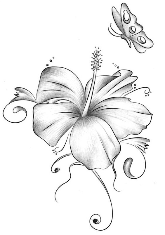 Chinese Flowers Drawing at GetDrawings | Free download