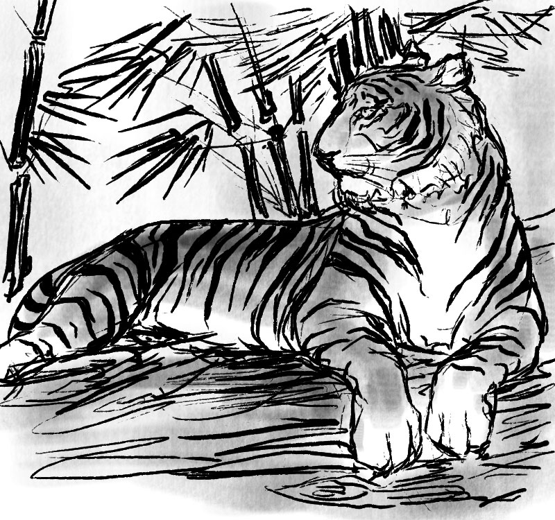 Chinese Tiger Drawing at GetDrawings | Free download