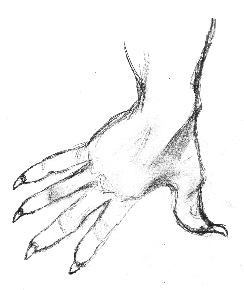 Claw Hand Drawing at GetDrawings Free download