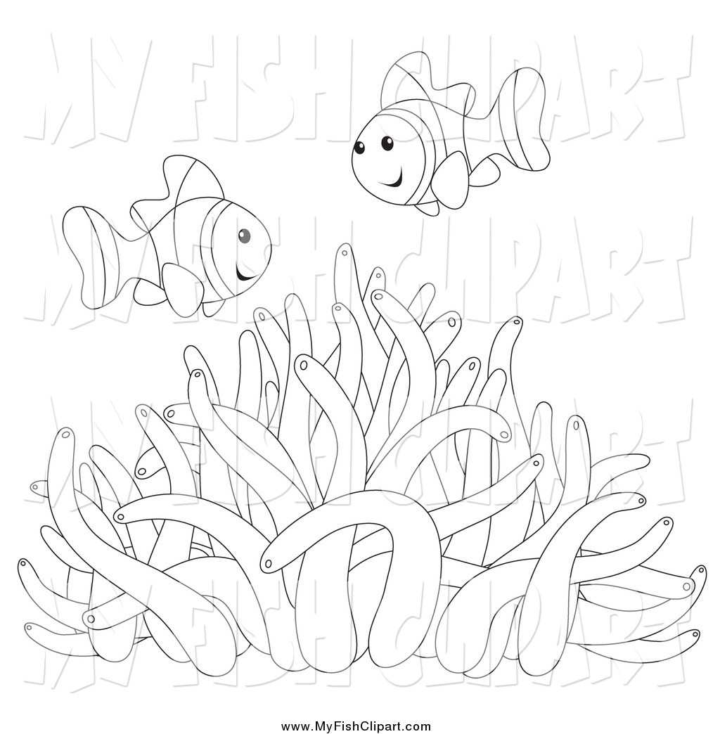 Clown Fish Drawing at GetDrawings | Free download