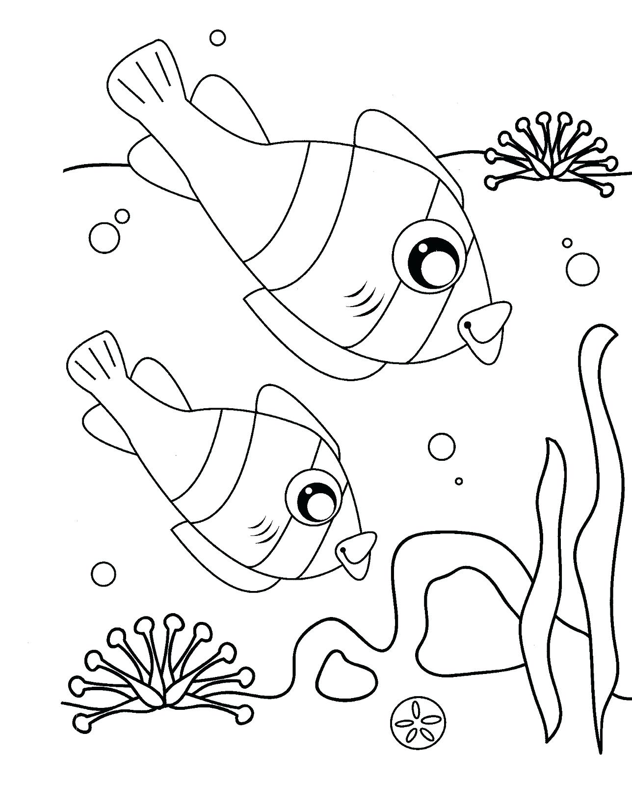 clownfish-drawing-at-getdrawings-free-download