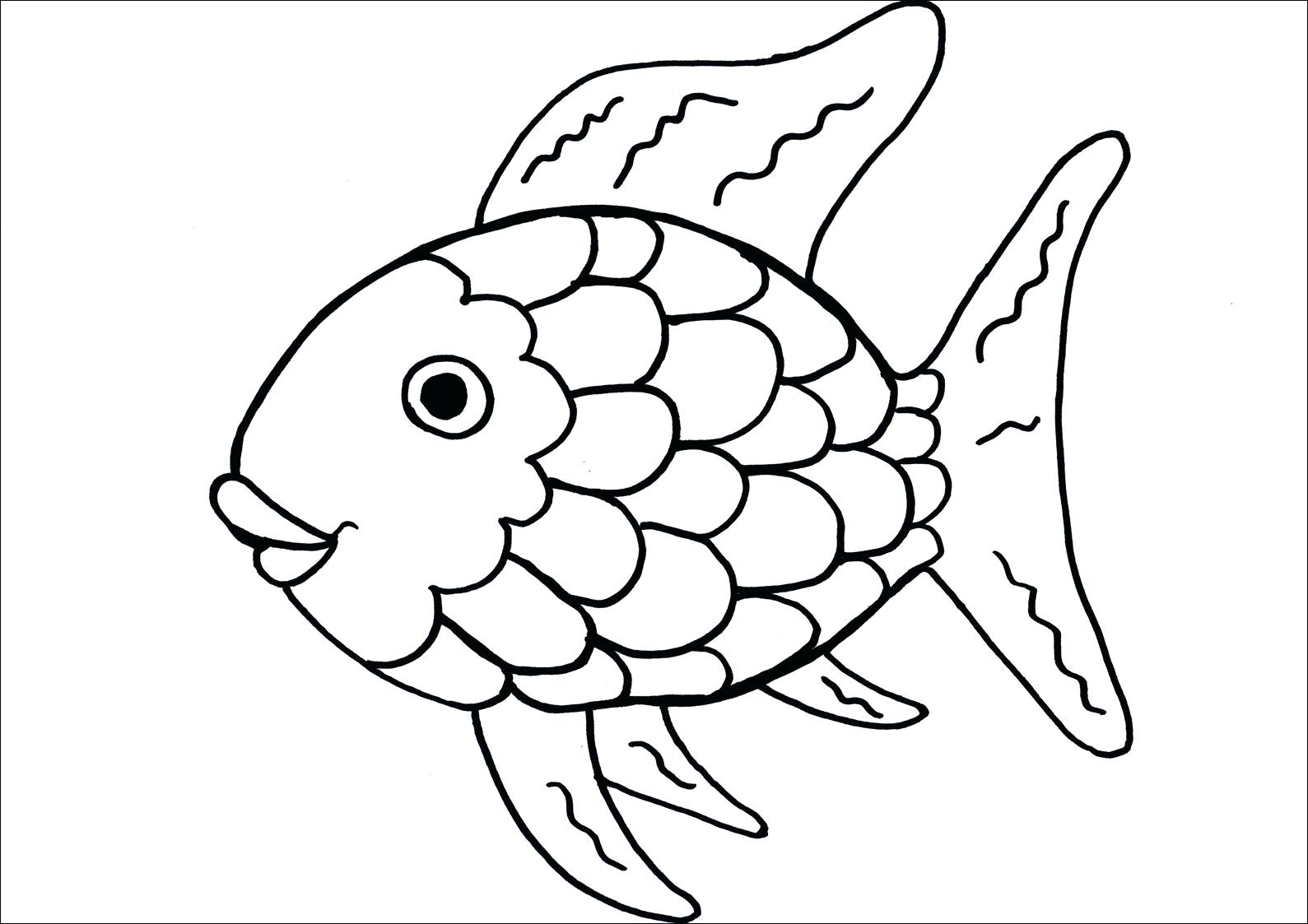 Clownfish Drawing at GetDrawings Free download