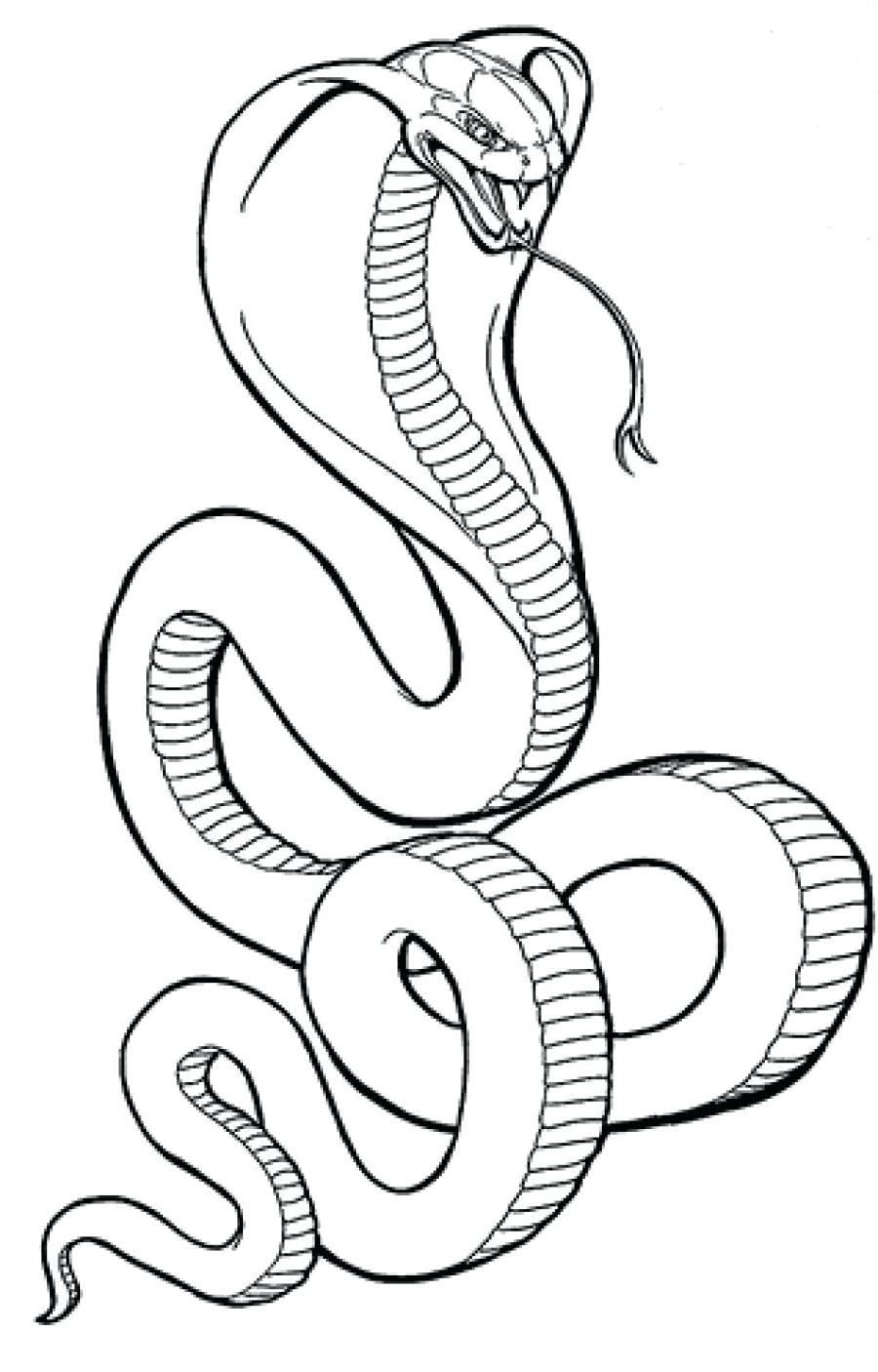 Cobra Snake Drawing at GetDrawings | Free download
