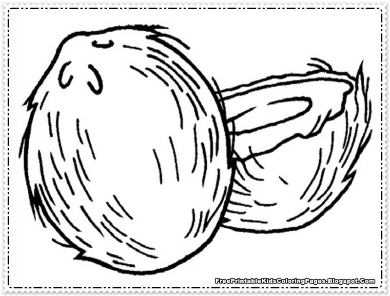 Coconut Drawing At GetDrawings Free Download