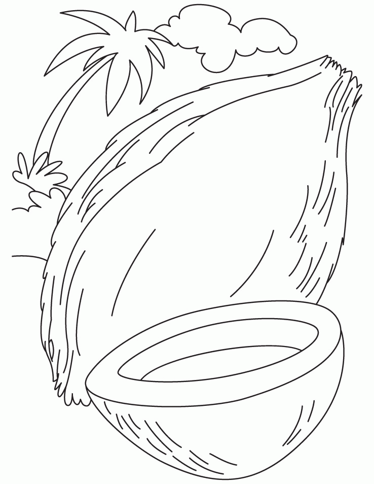 Coconut Tree Pictures Drawing At GetDrawings Free Download