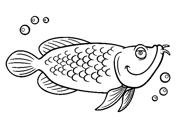 Cod Fish Drawing at GetDrawings | Free download