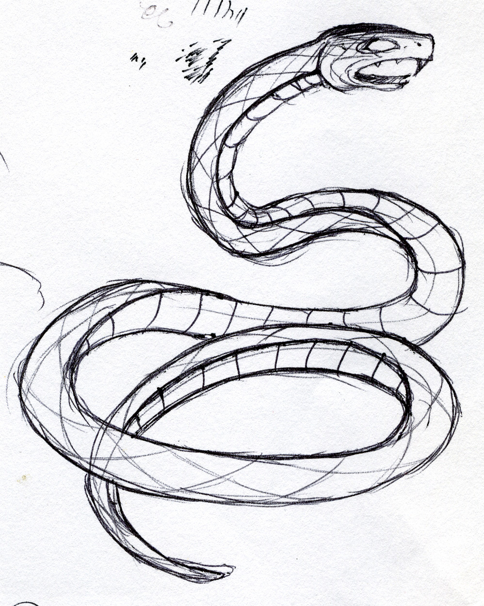 Coiled Snake Drawing at GetDrawings Free download
