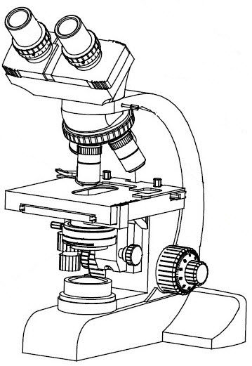 Compound Microscope Drawing at GetDrawings | Free download